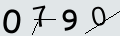 verifycode